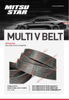 Automotive Mold V-Ribbed Belt