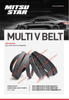 Automotive Mold V-Ribbed Belt