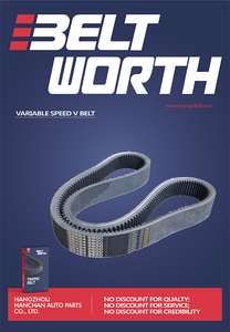 Variable Speed Belt