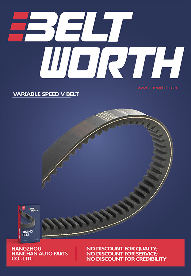 Variable Speed Belt