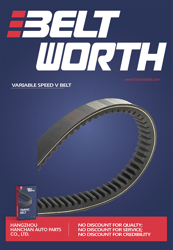 Variable Speed Belt