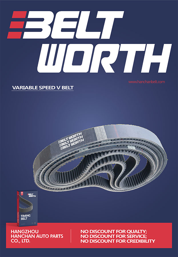 Variable Speed Belt